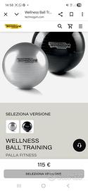 Wellness Ball Technogym – Professionali