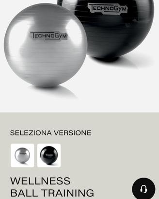 Wellness Ball Technogym – Professionali