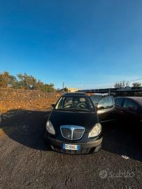 Lancia musa