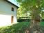 Immagine 9