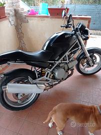 Ducati Monster 600 del 2001 