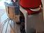 Immagine 5