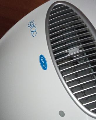 Carrier Igloo