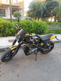 Kawasaki ER 5 Scrambler Cafè Racer