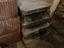 Immagine 2
