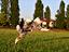 Immagine 4