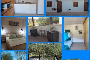 Lastminute agosto - settembre marina di fondi