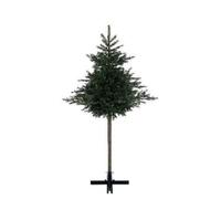Albero Natale a Tronco Alto 225 cm