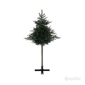 Albero Natale a Tronco Alto 225 cm