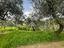 Immagine 25