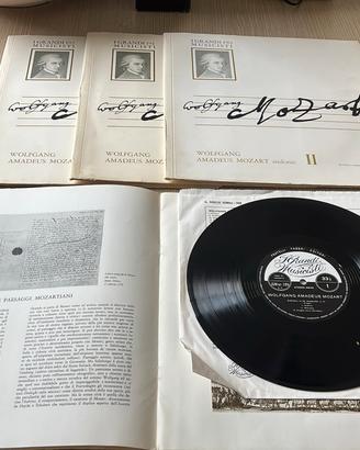 Vinili Musica Classica “I GRANDI MUSICISTI”