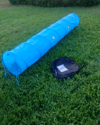 Tubo tunnel agility dog