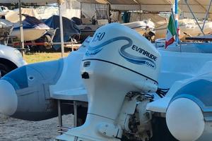 Motore Envirude Ficht RAM 150