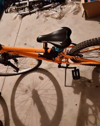 Mountain bike Bottecchia 24"