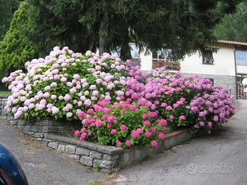 Scarperia 5 vani giardino terreno