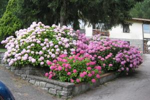 Scarperia 5 vani giardino terreno