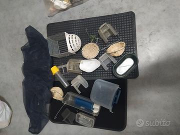 varie per ornitologia