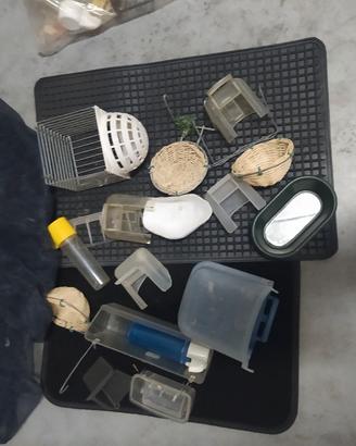 varie per ornitologia