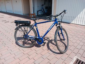 Bici elettrica
