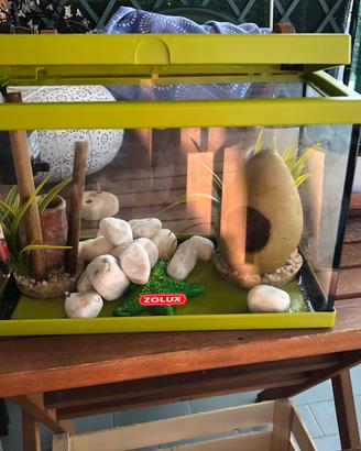 Aquario Nano kids