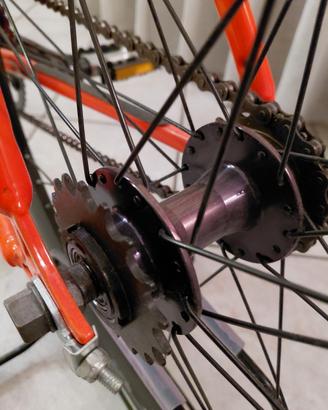 bicicletta fixed
