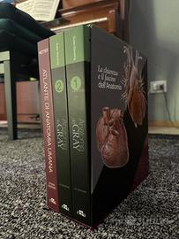 LIBRI DI TESTO FACOLTÀ MEDICINA