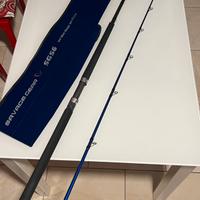 Canna Shore Savage Gear sgs6 60-150