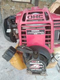 tosaerba e decespugliatore 