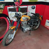 Ducati Scrambler 250 - 1971
