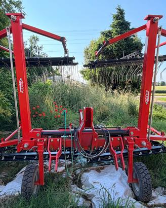 Strigliatore  Faza 6 M
