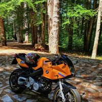 Bmw f800s