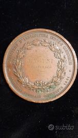 Medaglia Vittorio Emanuele / Censimento 1861 - Collezionismo In vendita ...