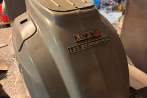 Vespa primavera et3