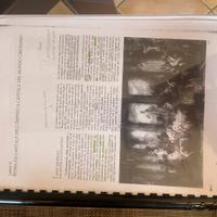 Arte nel rempo. Il Medioevo, De Vecchi, Cerchiari