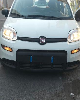 Fiat panda city life