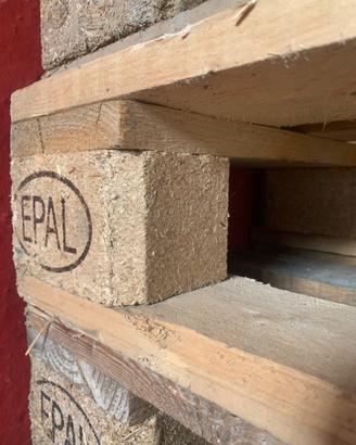 Bancali epal