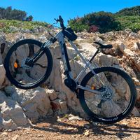 E-bike City fat bike / Mountain bike elettrica