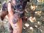 Immagine 3