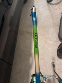 Canna da pesca