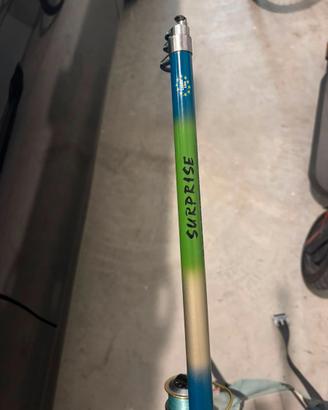 Canna da pesca