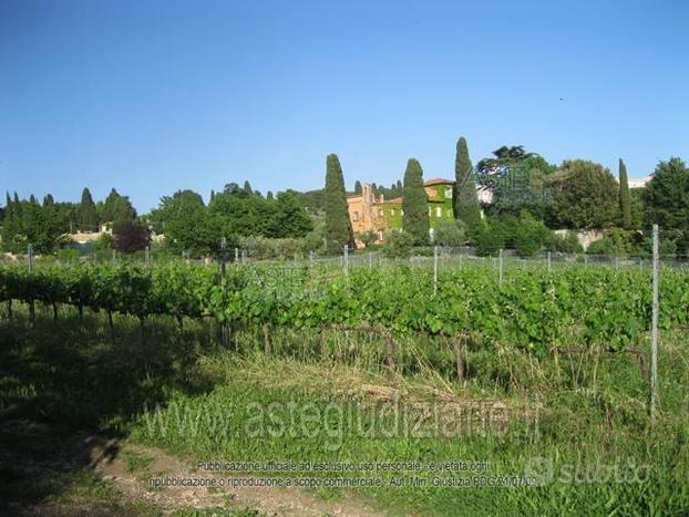 Terreno Agricolo Grottaferrata [A4281362]