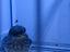 Immagine 4