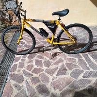 bici da ragazzo