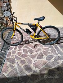 bici da ragazzo