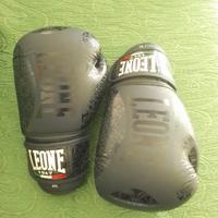 Guanti da boxe 