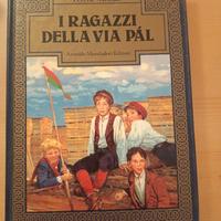 Romanzo I Ragazzi della Via Pàl