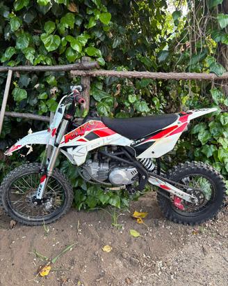 pit bike kayo 160