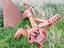 Immagine 1