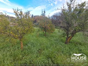 Paterno' - terreno agricolo id: ppa048t