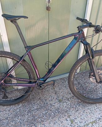 MTB in carbonio Rebel  XC pro  29